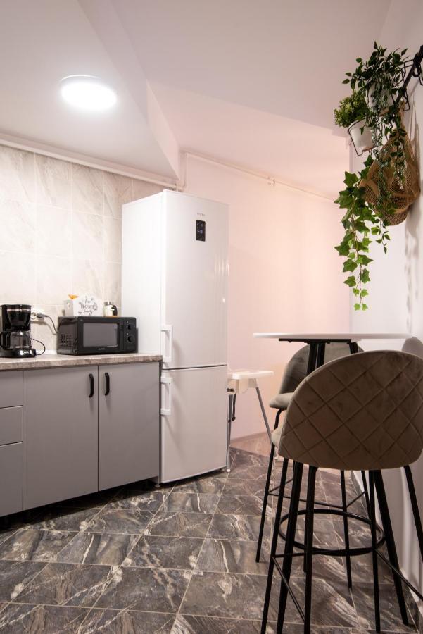 Snowdrop Apartment Sinaia Kültér fotó